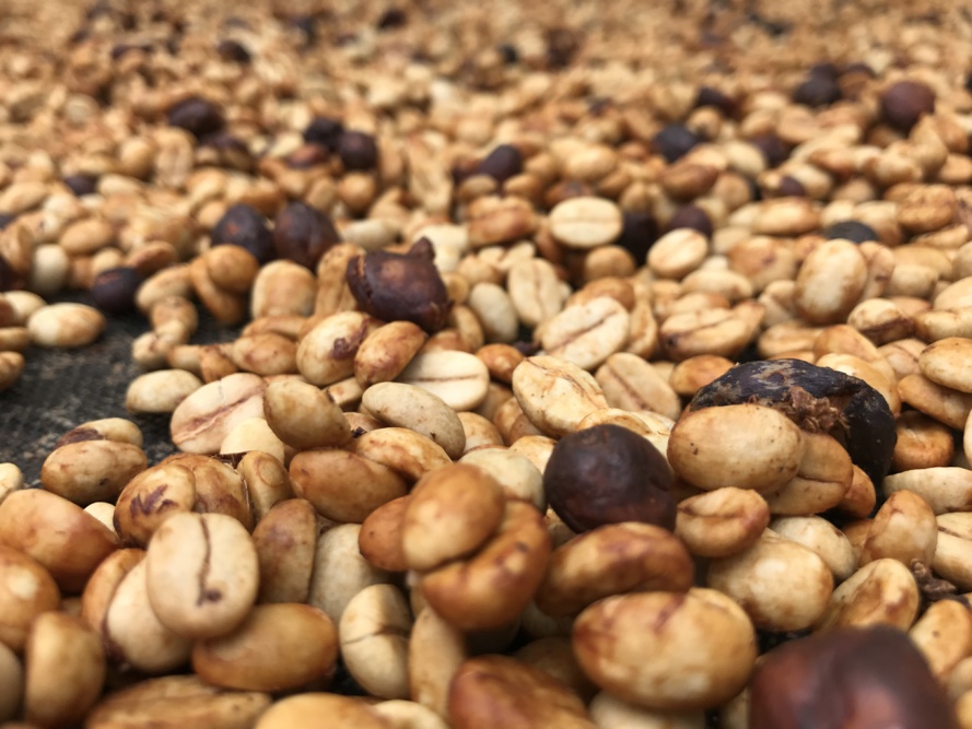 Vous prendrez bien un café?