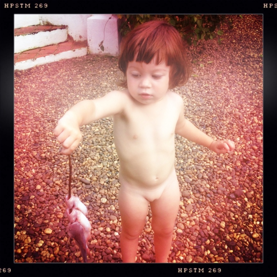 Le Mékong, camarade, c'est un fleuve comme une palette de peintre. Le Mékong, camarade, c'est un fleuve comme une palette de peintre.