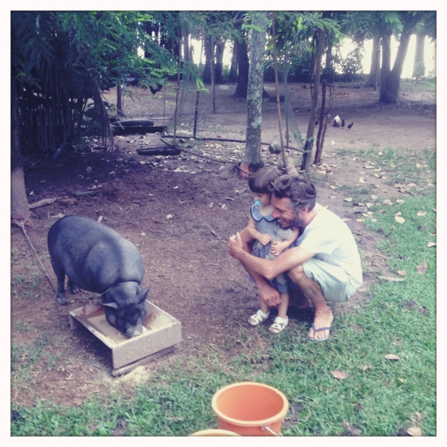 Le Mékong, camarade, c'est un fleuve comme une palette de peintre. Le Mékong, camarade, c'est un fleuve comme une palette de peintre.
