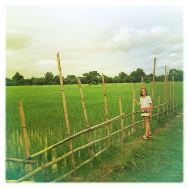 Le Mékong, camarade, c'est un fleuve comme une palette de peintre. Le Mékong, camarade, c'est un fleuve comme une palette de peintre.