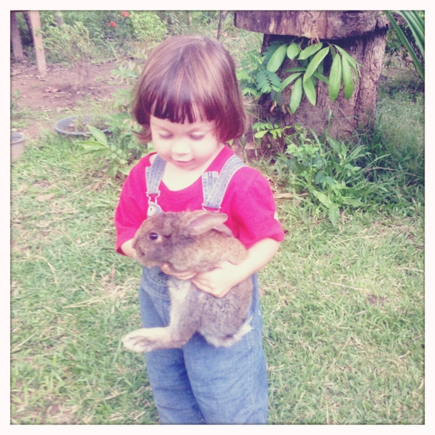 Le Mékong, camarade, c'est un fleuve comme une palette de peintre. Le Mékong, camarade, c'est un fleuve comme une palette de peintre.