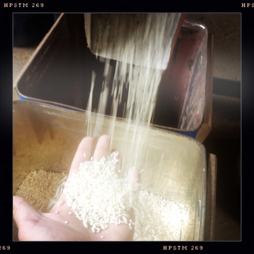 Le Mékong, camarade, c'est un fleuve comme une palette de peintre. Le Mékong, camarade, c'est un fleuve comme une palette de peintre.