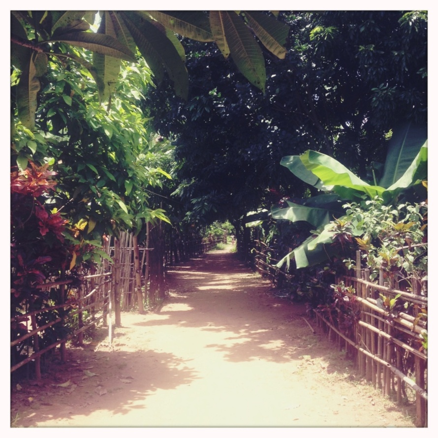 Le Mékong, camarade, c'est un fleuve comme une palette de peintre. Le Mékong, camarade, c'est un fleuve comme une palette de peintre.