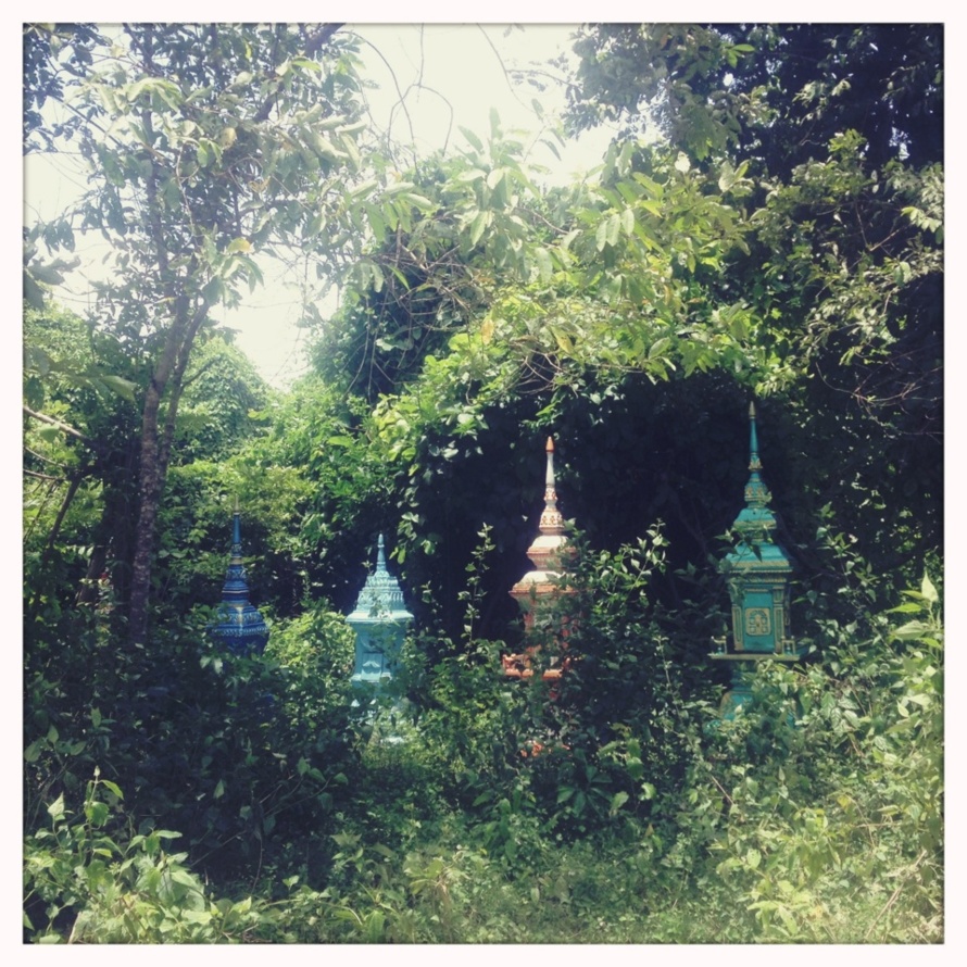 Le Mékong, camarade, c'est un fleuve comme une palette de peintre. Le Mékong, camarade, c'est un fleuve comme une palette de peintre.