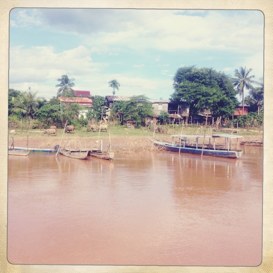 Le Mékong, camarade, c'est un fleuve comme une palette de peintre.