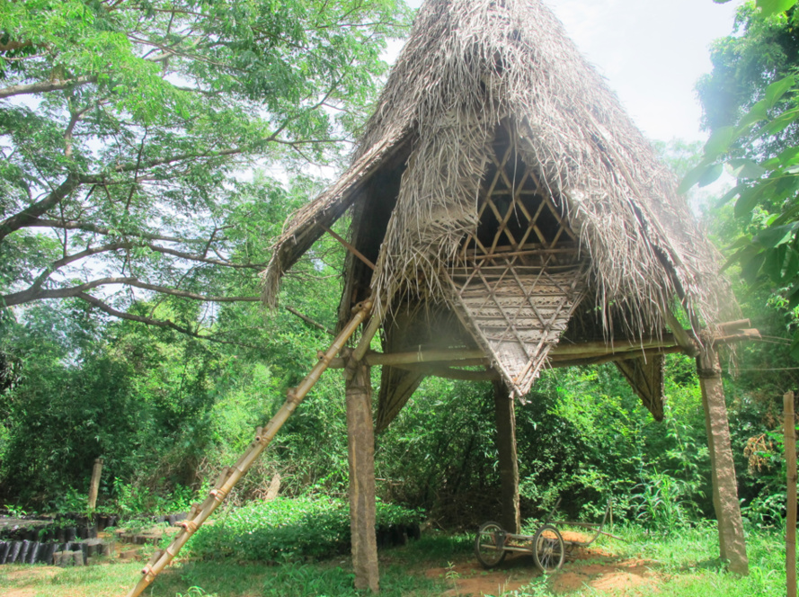 Auroville, Et la Mère créa l'Homme Nouveau