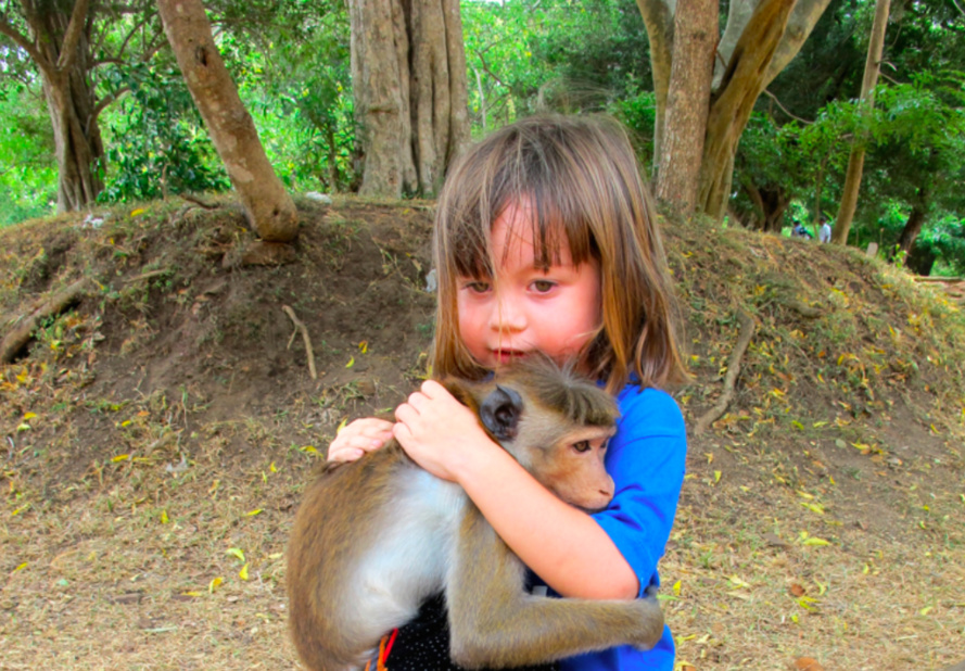 LA PLANETE DES SINGES