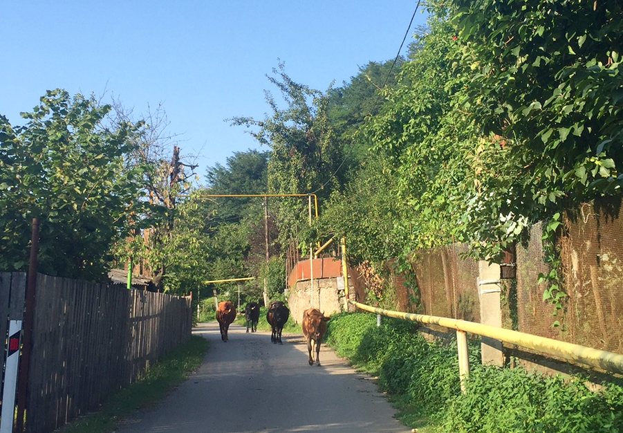 Mon apéro avec Staline Mon apéro avec Staline