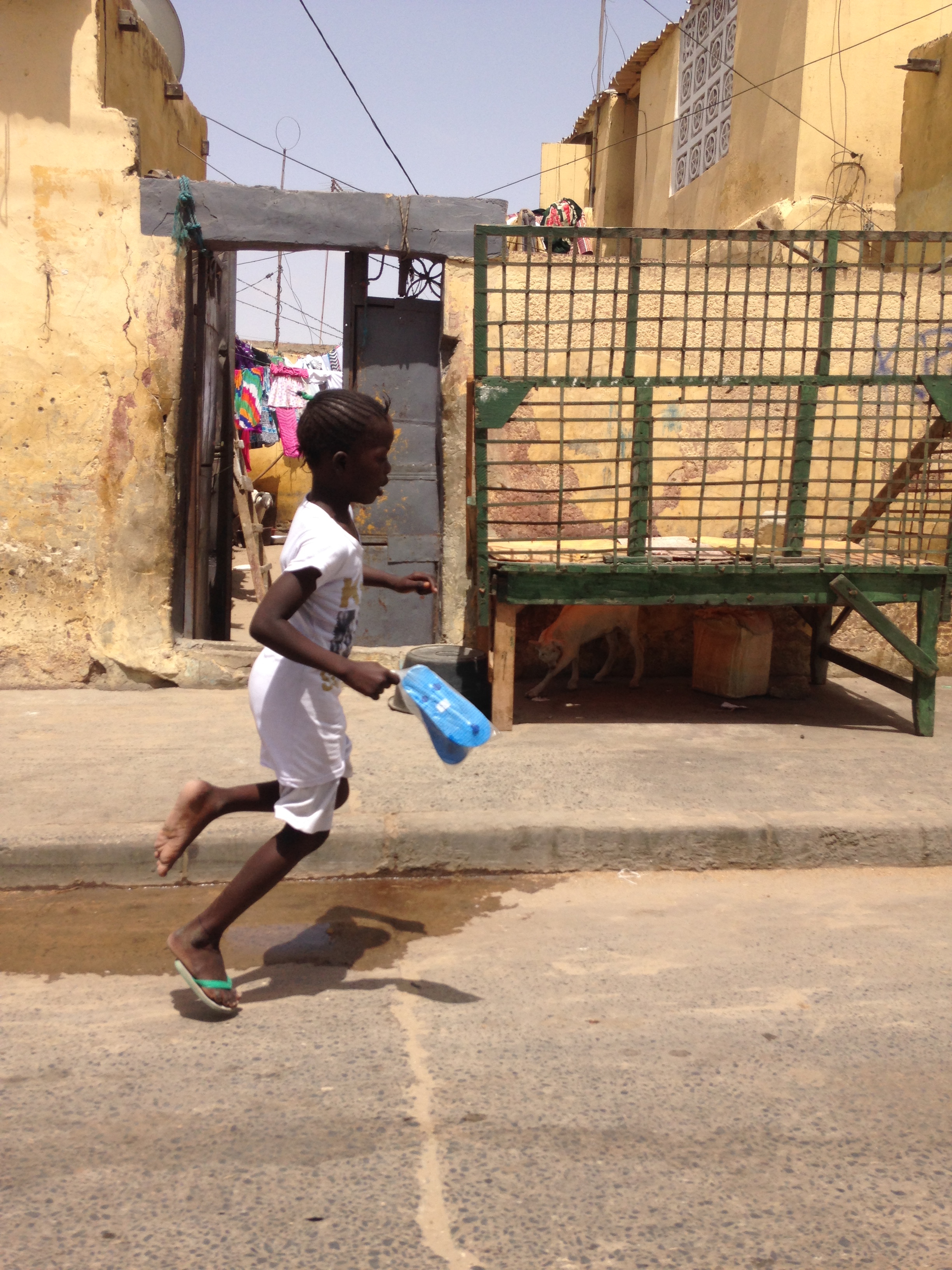 Les talibés du Sénégal