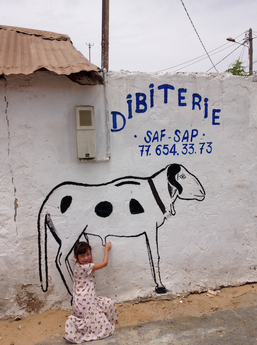 Les talibés du Sénégal