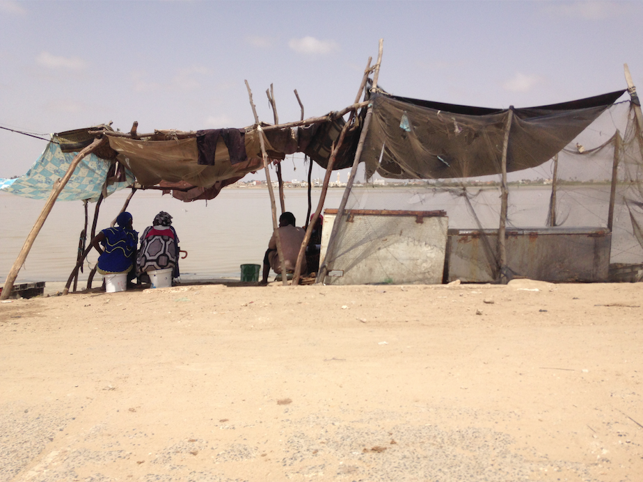 Les talibés du Sénégal Les talibés du Sénégal