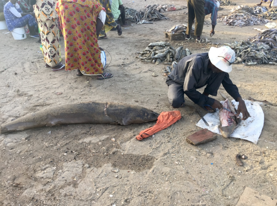 Les bretons noirs Les bretons noirs