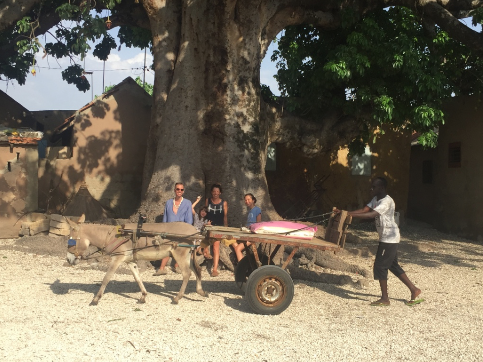 Les dieux sont tombés sur la tête Les dieux sont tombés sur la tête