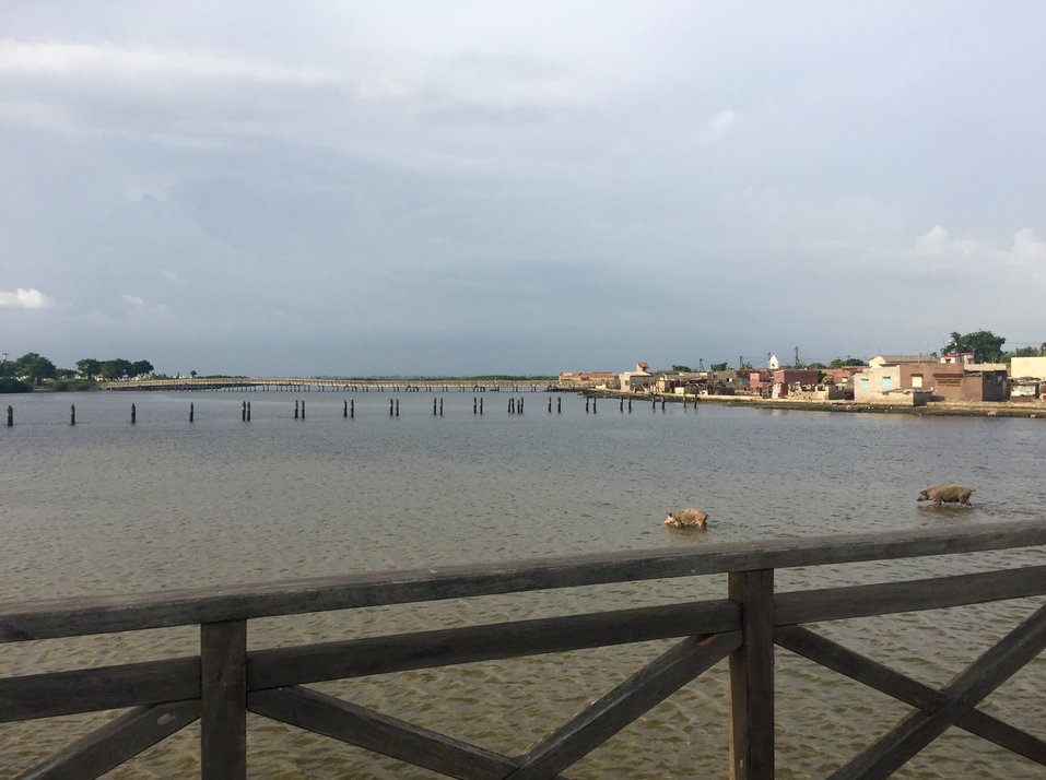 Les dieux sont tombés sur la tête Les dieux sont tombés sur la tête