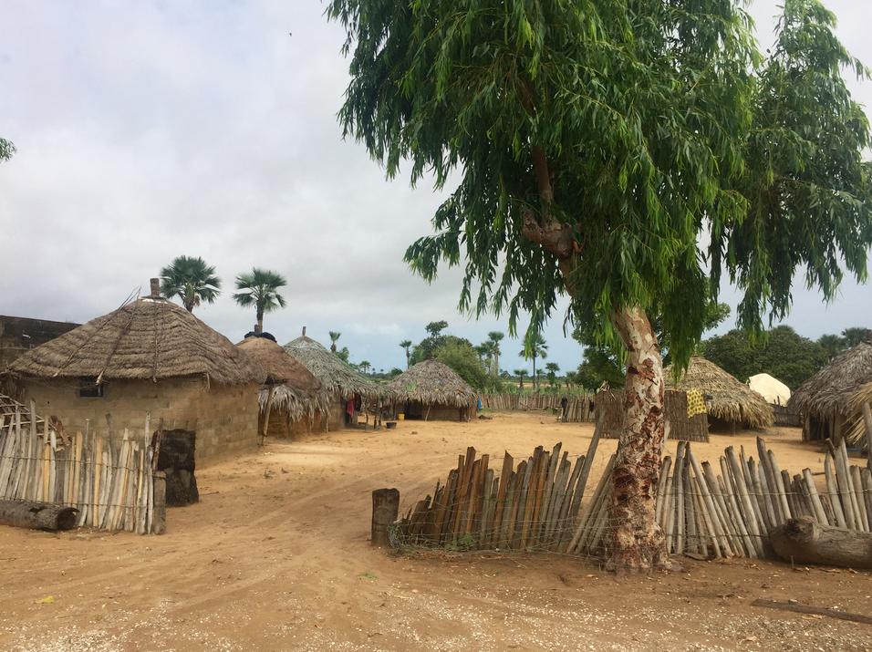 Les dieux sont tombés sur la tête Les dieux sont tombés sur la tête