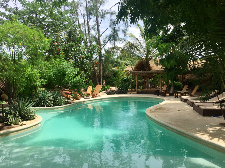 Les dieux sont tombés sur la tête Les dieux sont tombés sur la tête