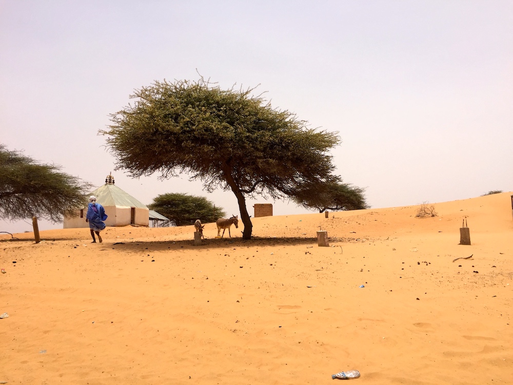 Sur les pas de Saint Ex Sur les pas de Saint Ex