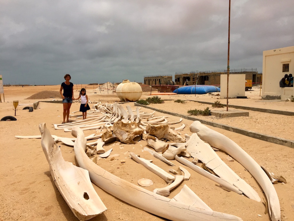 Sur les pas de Saint Ex Sur les pas de Saint Ex