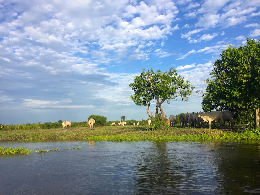 Rio Grande Magdelena