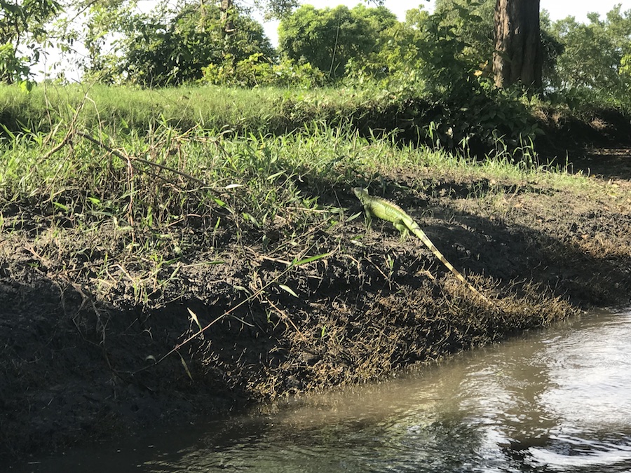 Rio Grande Magdelena