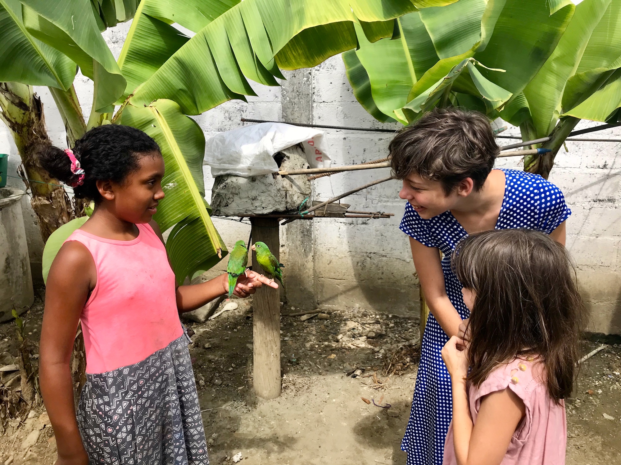 Les caraïbes Les caraïbes