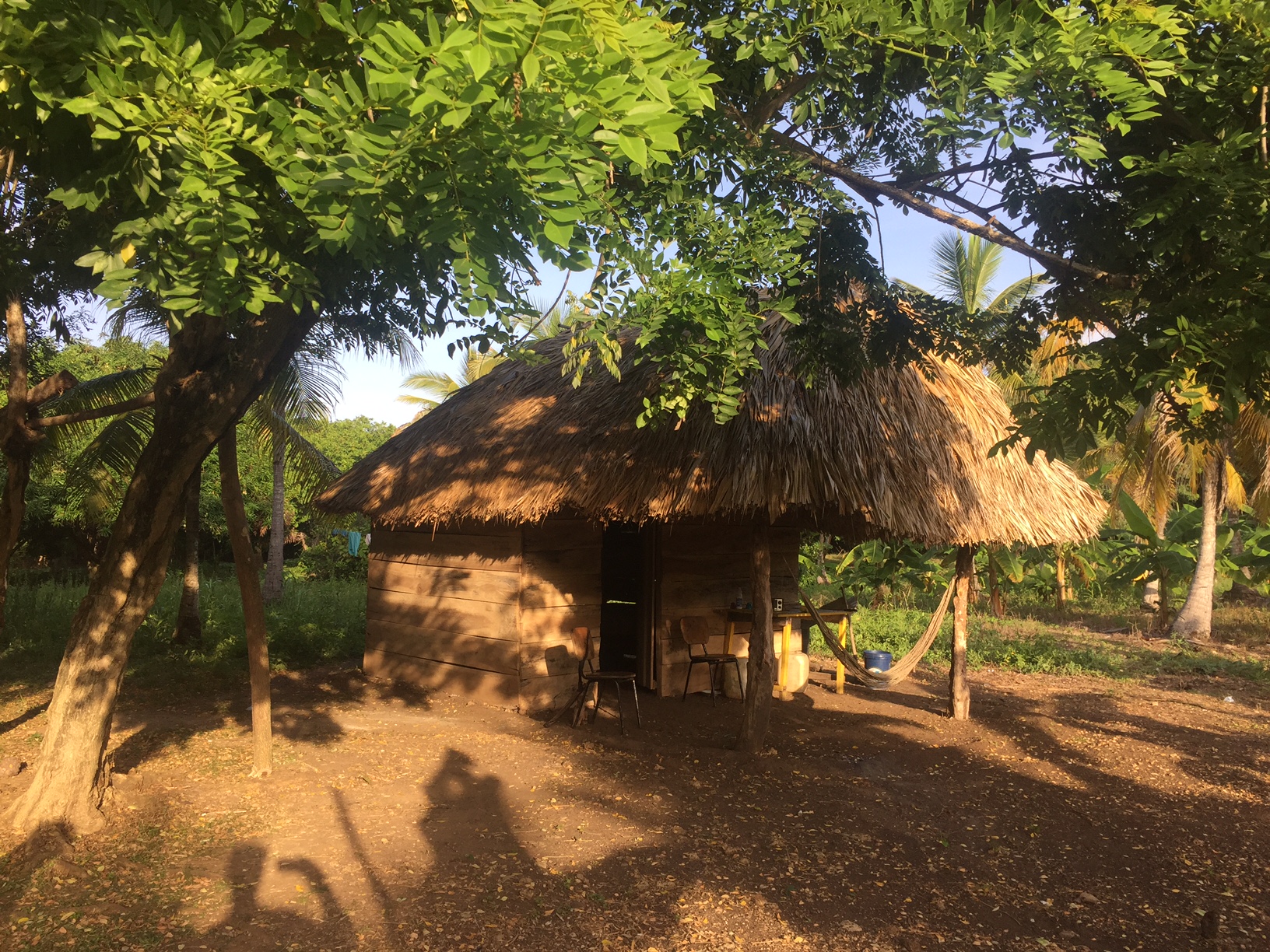 Les caraïbes Les caraïbes