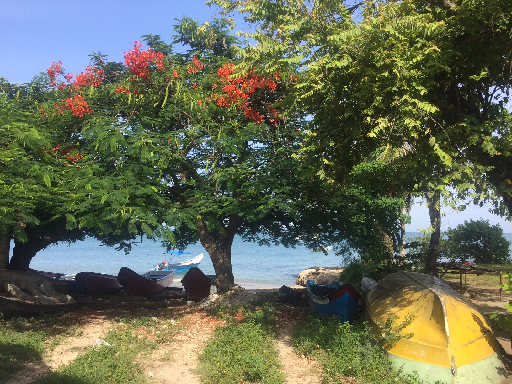 Les caraïbes Les caraïbes