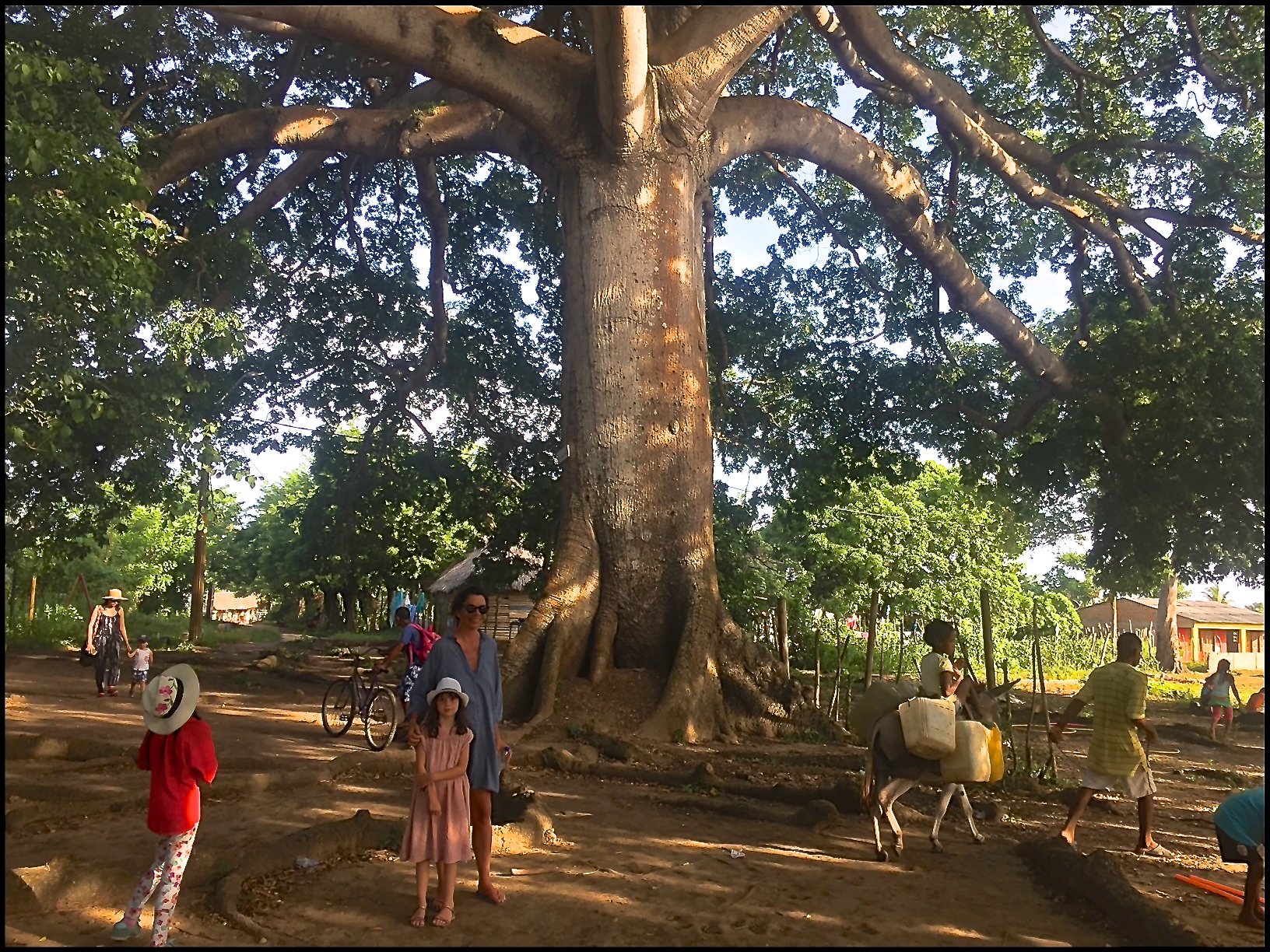 Les caraïbes Les caraïbes