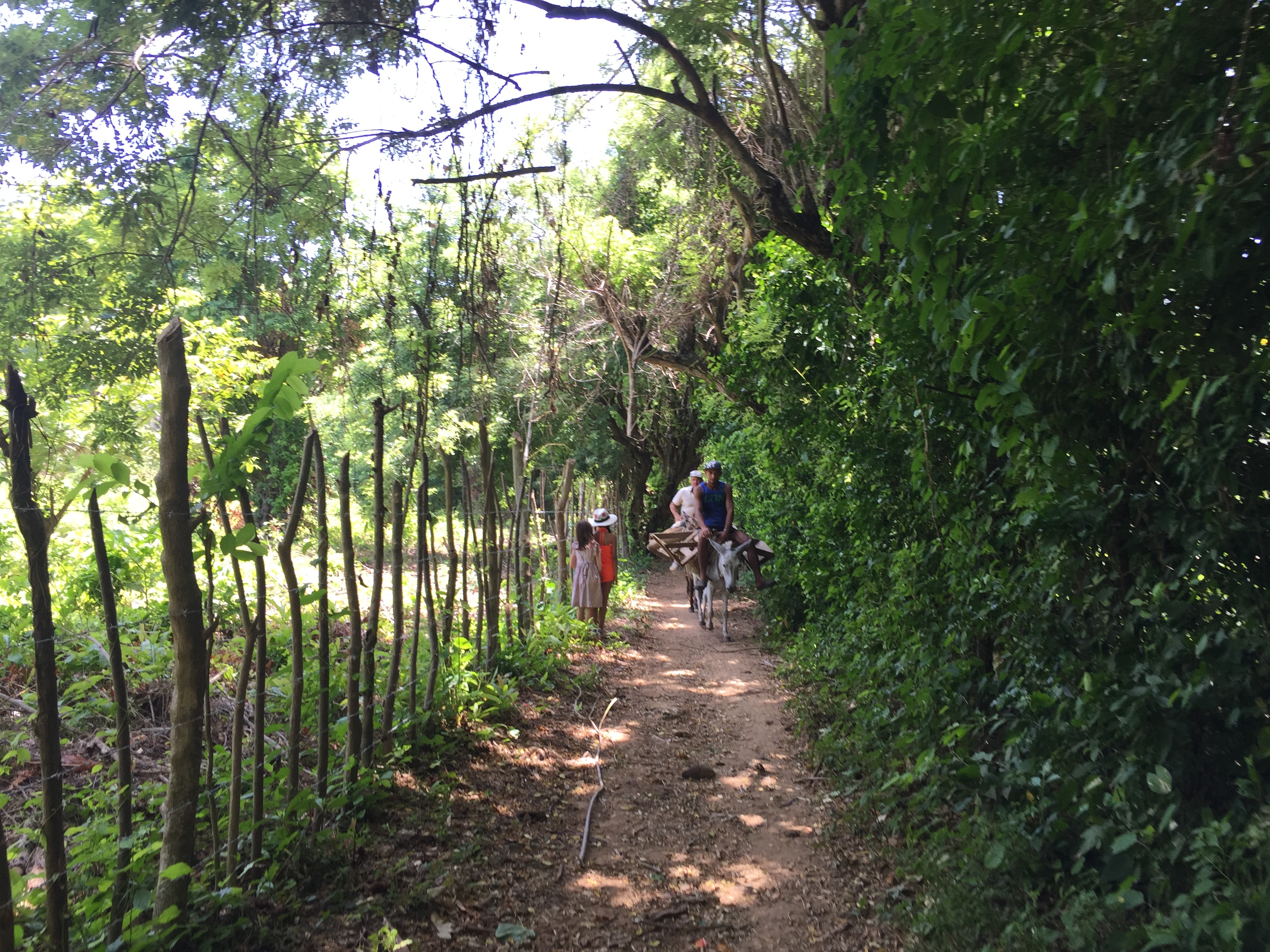 Les caraïbes Les caraïbes