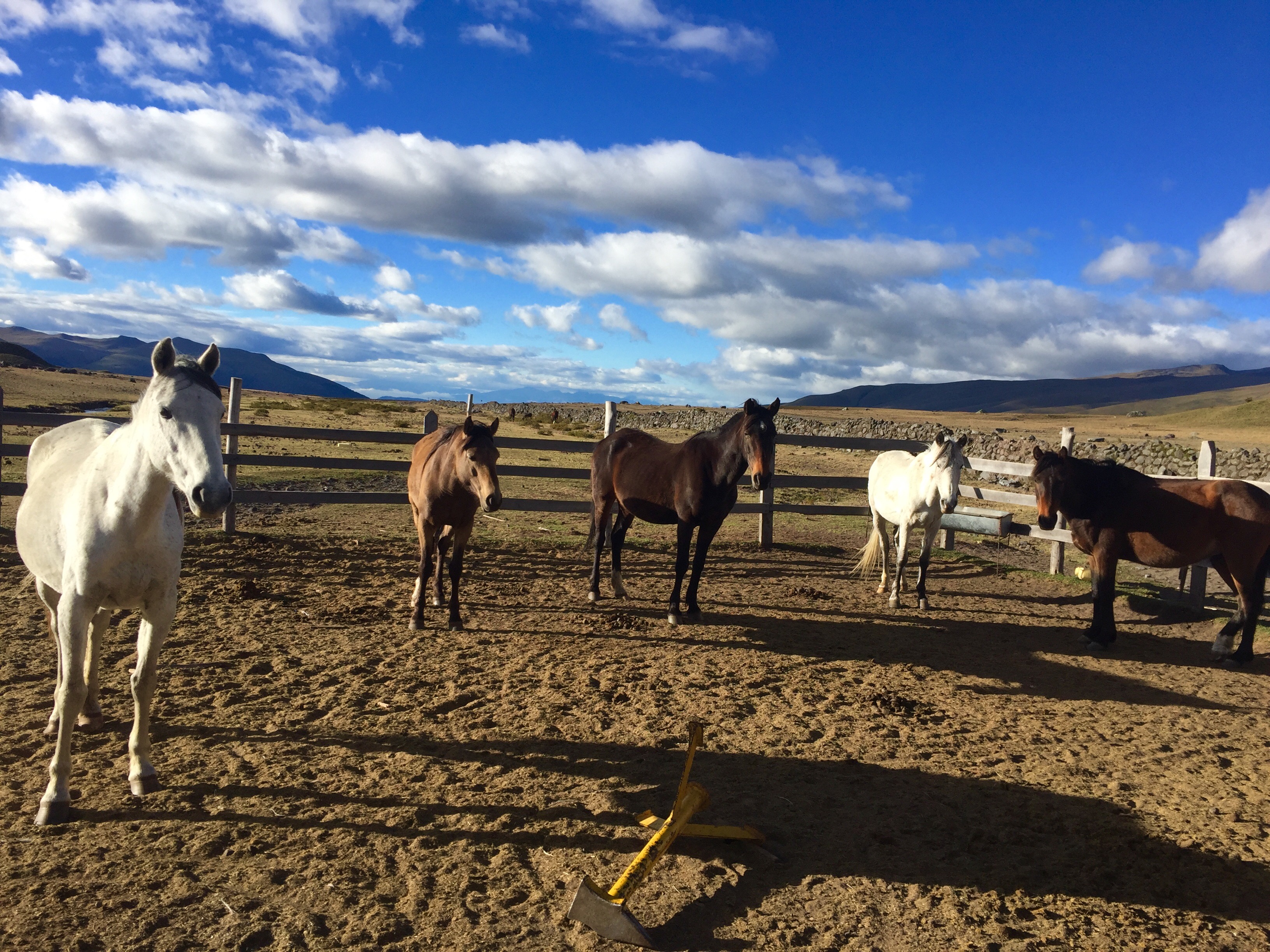 J’ai perdu une dent au Cotopaxi J’ai perdu une dent au Cotopaxi