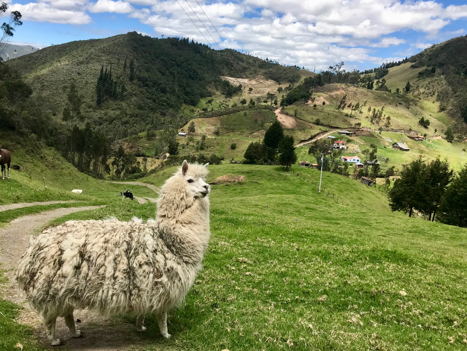 La Normandie Équatorienne La Normandie Équatorienne