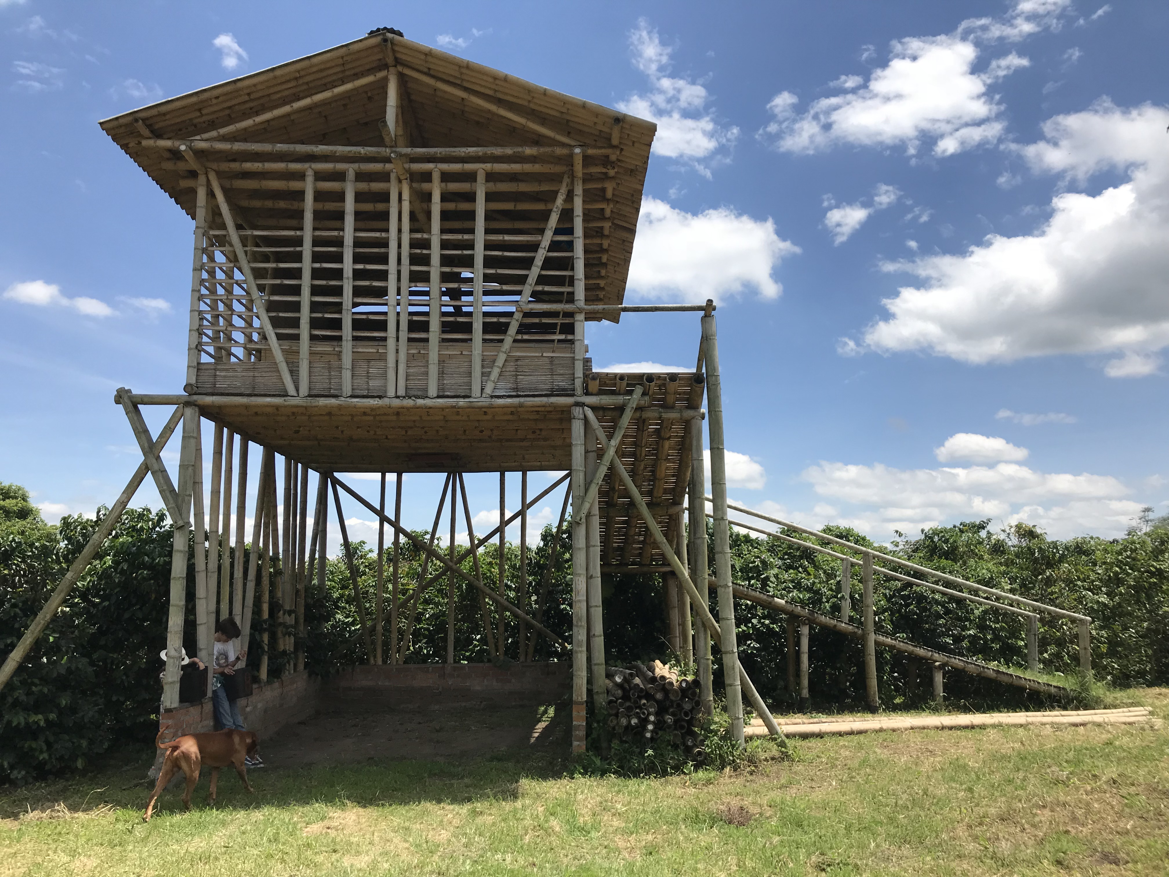Vous prendrez bien un café? Vous prendrez bien un café?
