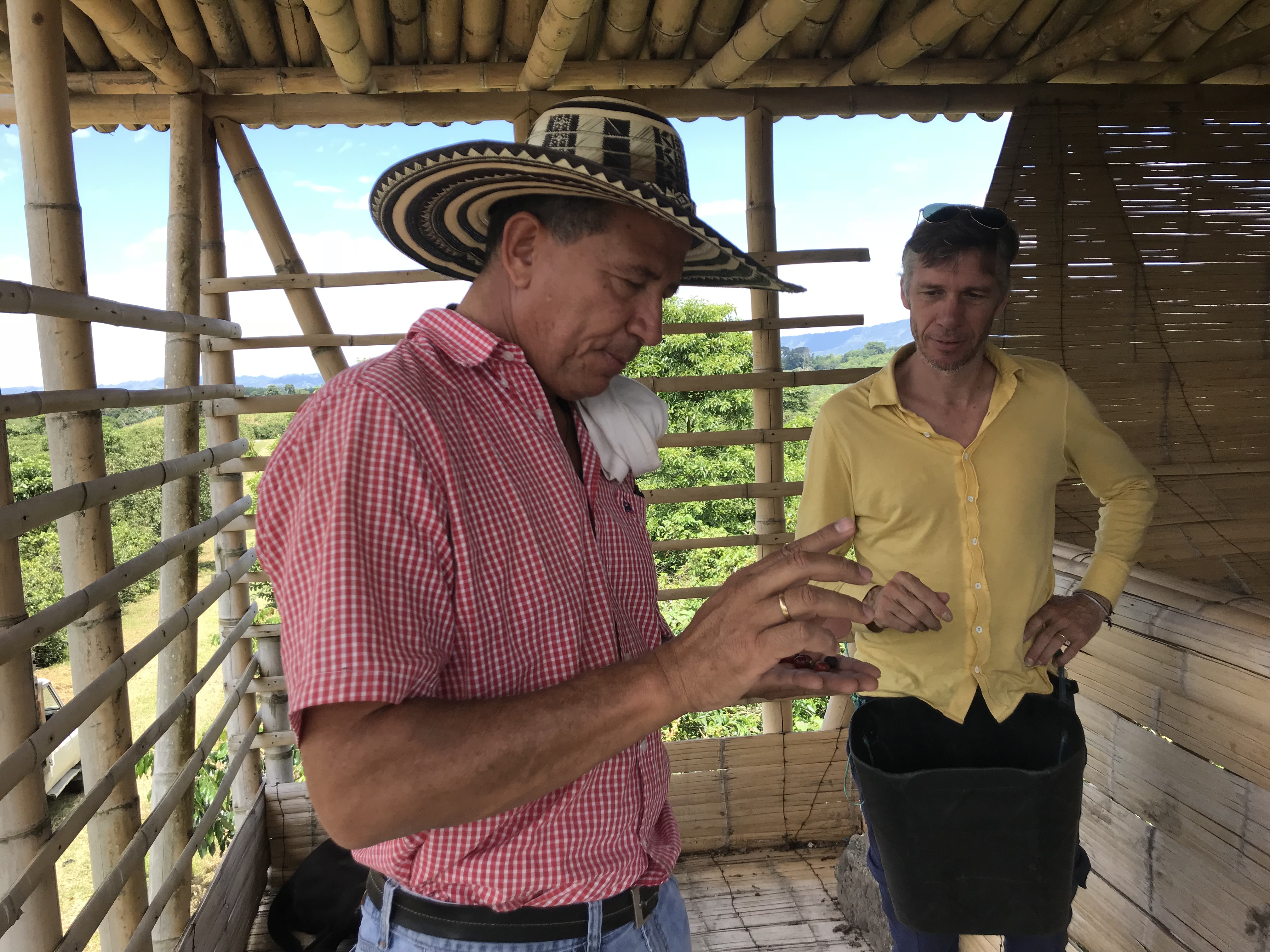 Vous prendrez bien un café? Vous prendrez bien un café?