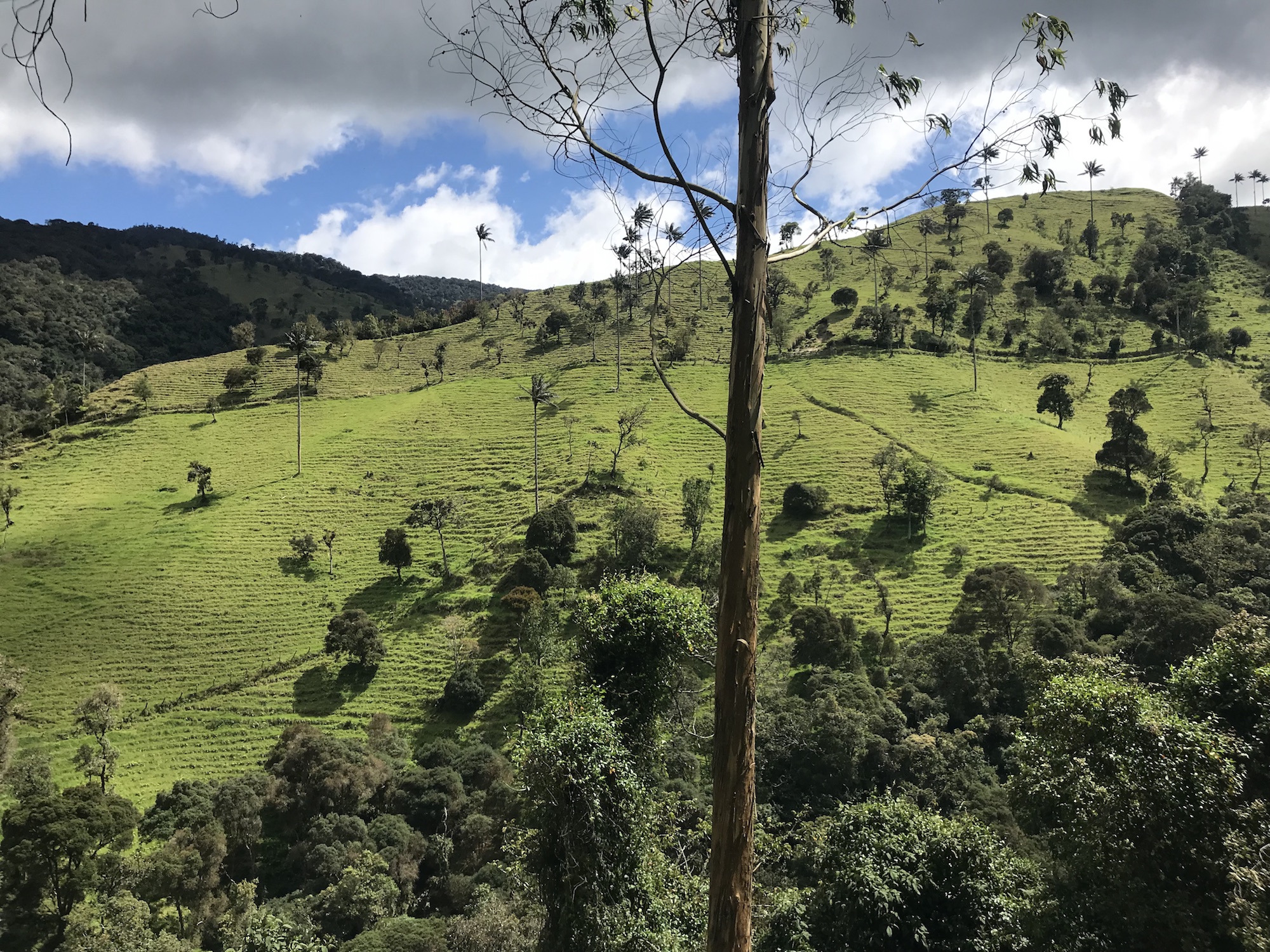 Vous prendrez bien un café? Vous prendrez bien un café?