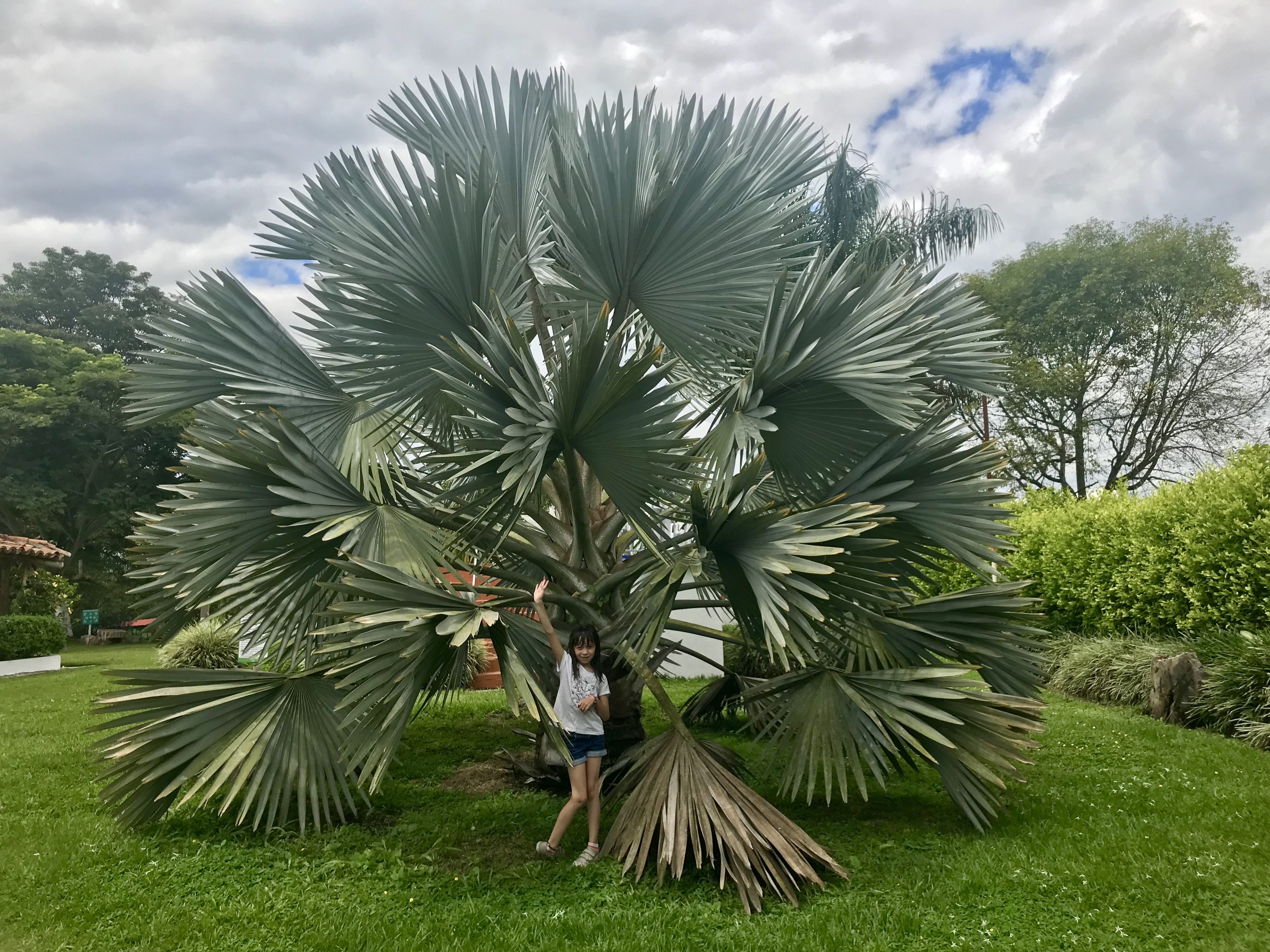 Vous prendrez bien un café? Vous prendrez bien un café?