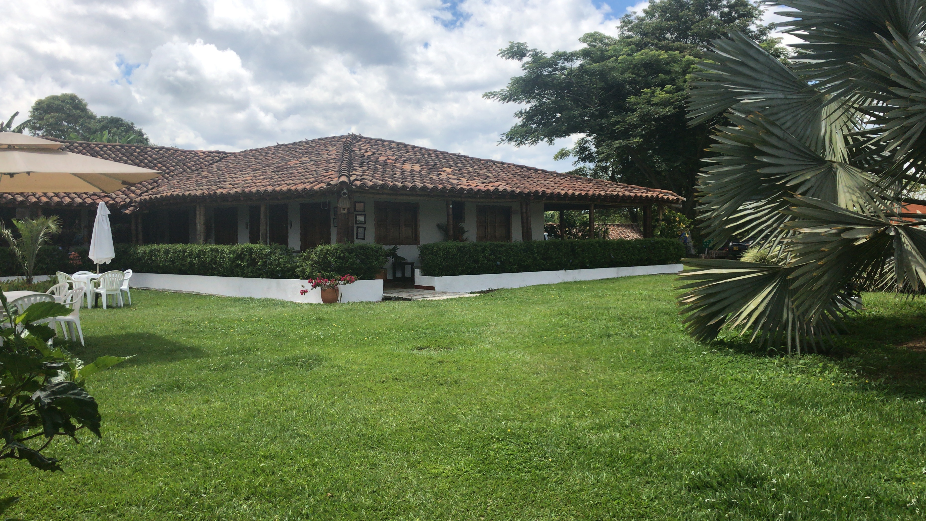 Vous prendrez bien un café? Vous prendrez bien un café?