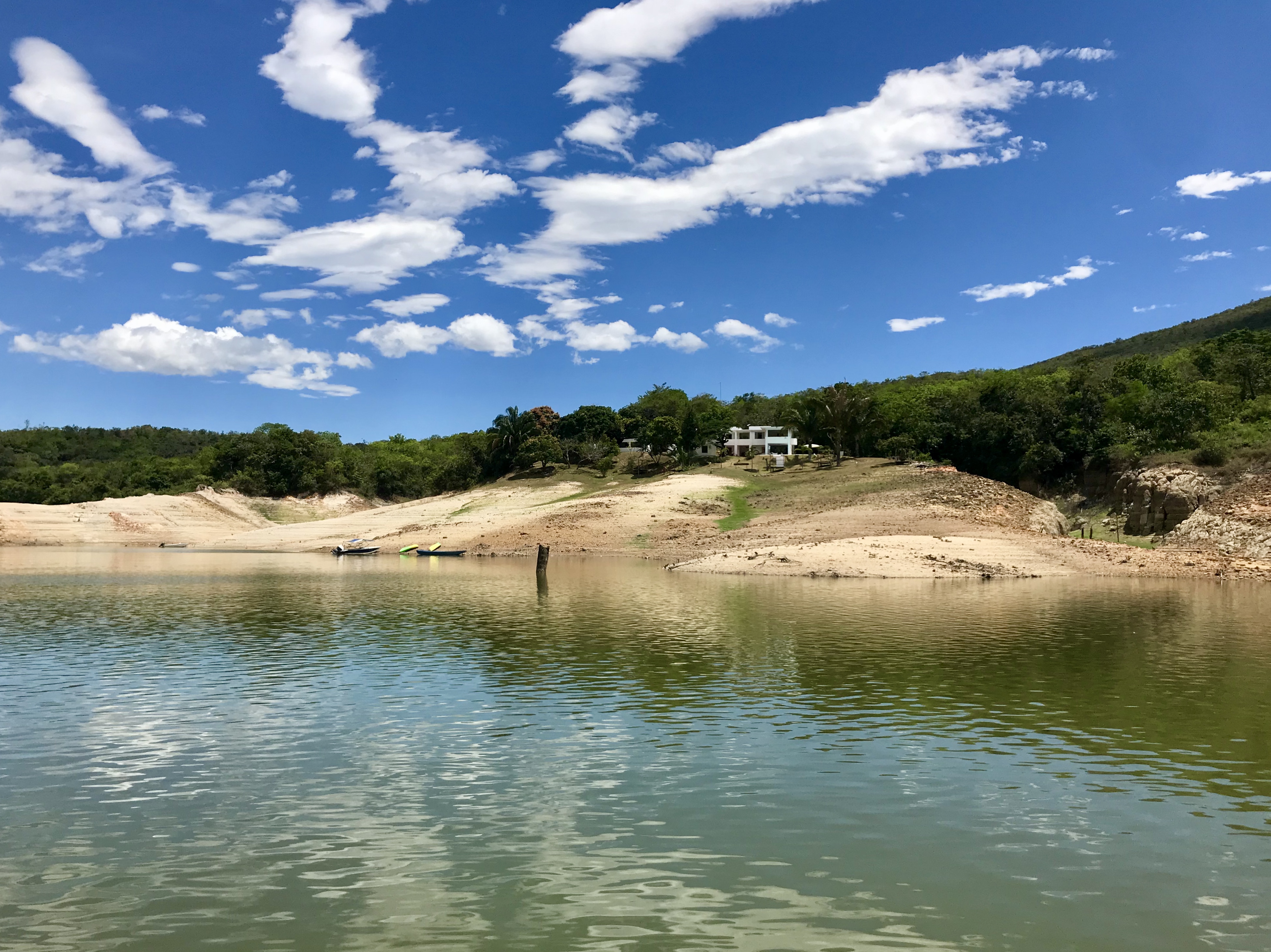 Vous prendrez bien un café? Vous prendrez bien un café?