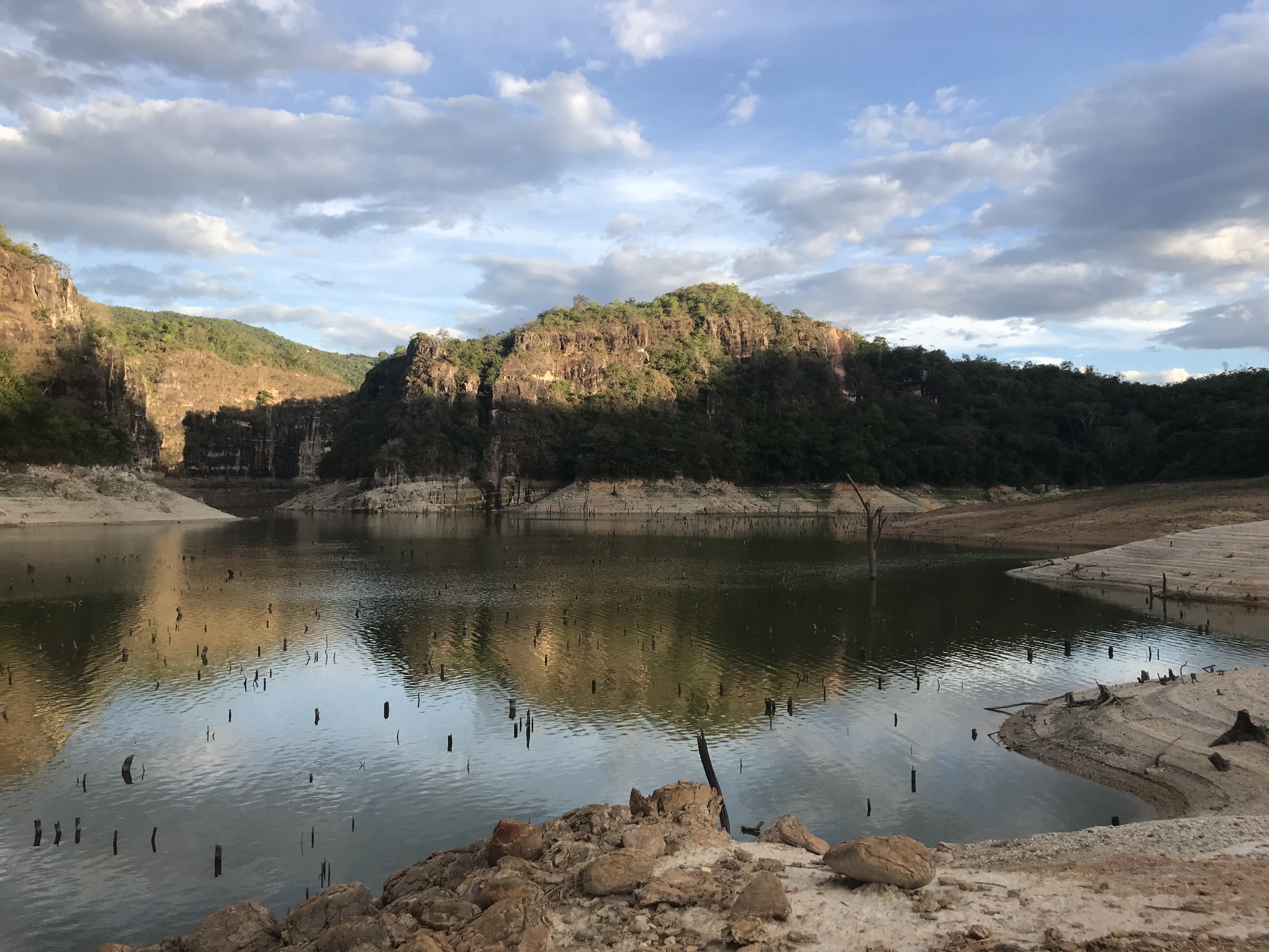 Vous prendrez bien un café? Vous prendrez bien un café?