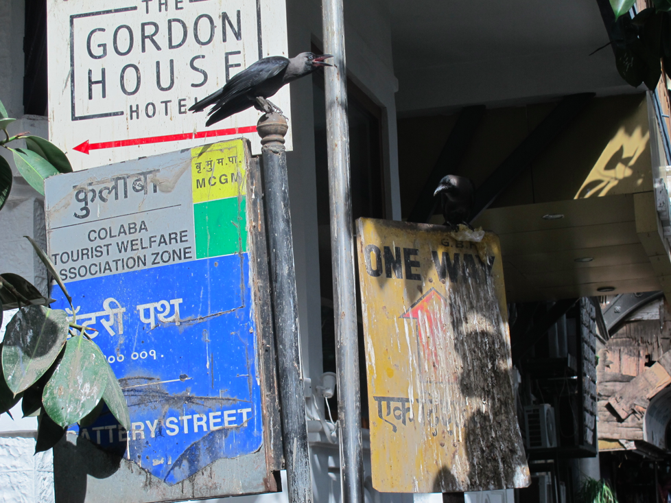 Les blousons noirs de Mumbai Les blousons noirs de Mumbai