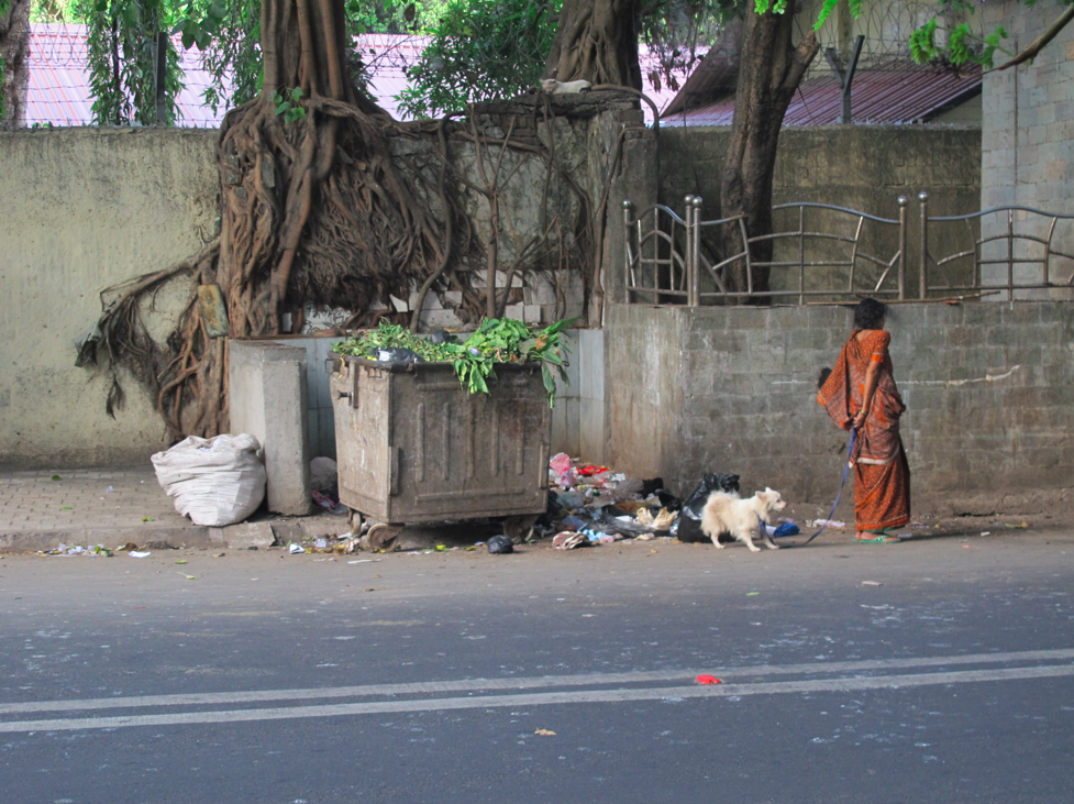 Les blousons noirs de Mumbai