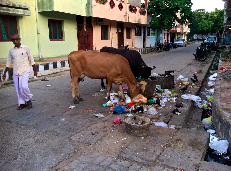 Pondy Chérie Pondy Chérie