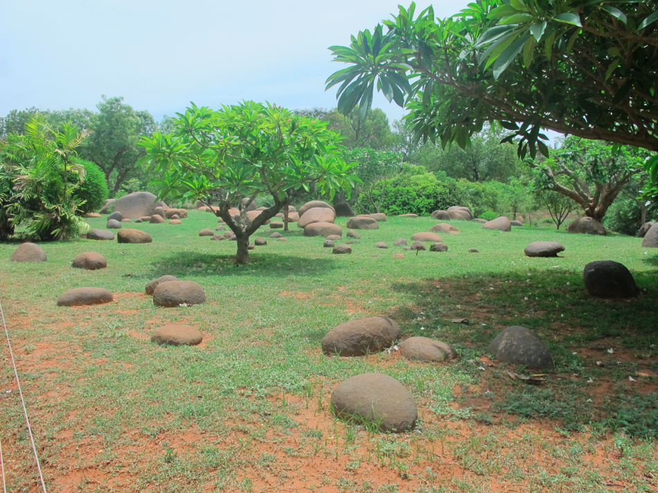 Auroville, Et la Mère créa l'Homme Nouveau