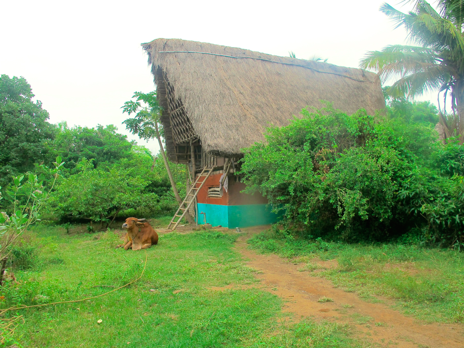 Auroville, Et la Mère créa l'Homme Nouveau Auroville, Et la Mère créa l'Homme Nouveau