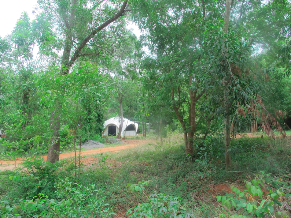 Auroville, Et la Mère créa l'Homme Nouveau