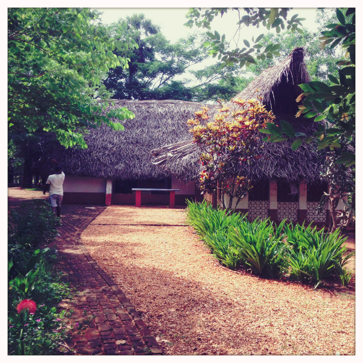 Auroville, Et la Mère créa l'Homme Nouveau