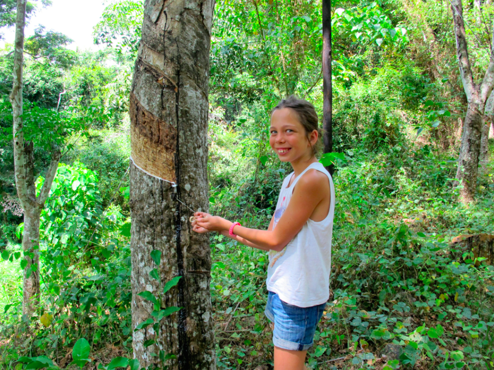 Une expérience élastique Une expérience élastique
