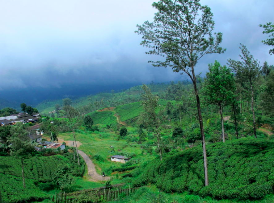 La montagne ça se gagne ! La montagne ça se gagne !