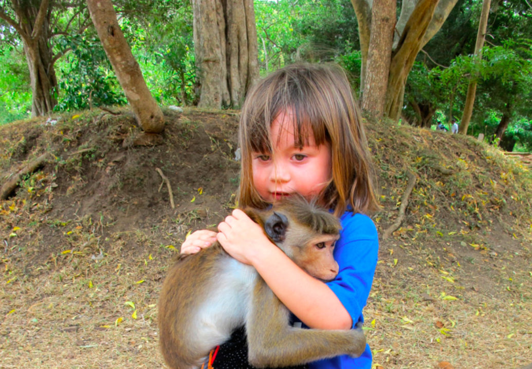 LA PLANETE DES SINGES