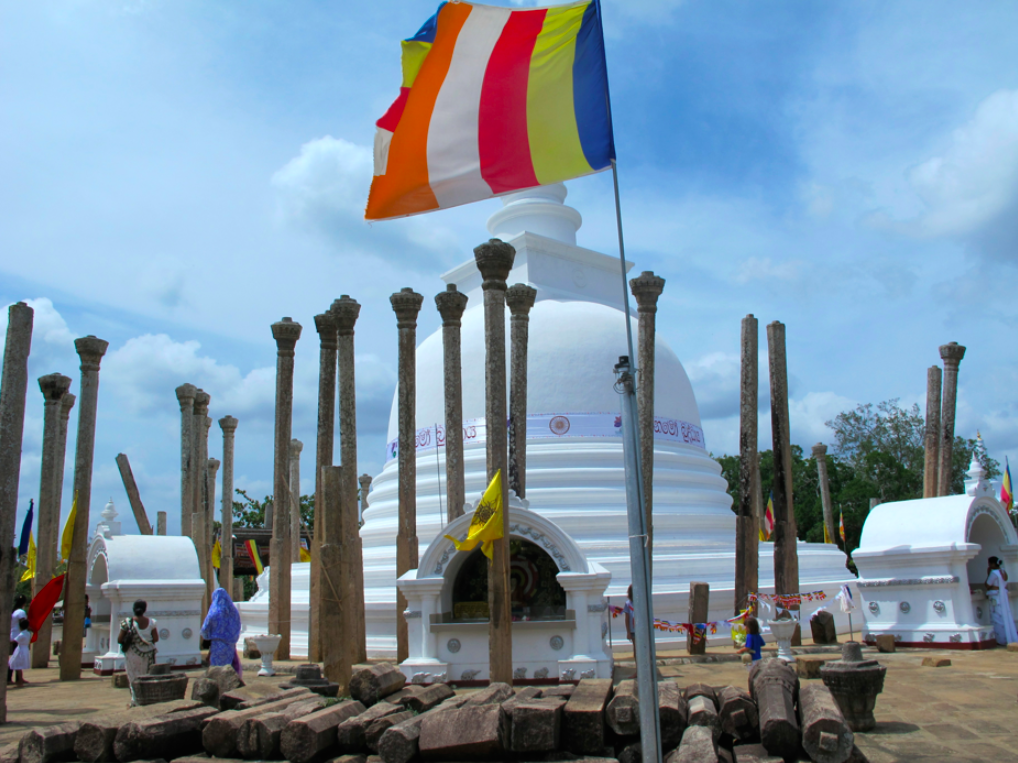 LA PLANETE DES SINGES LA PLANETE DES SINGES