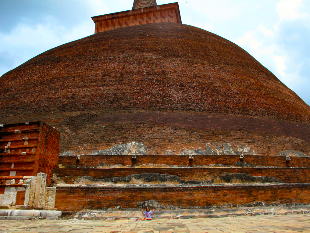 LA PLANETE DES SINGES LA PLANETE DES SINGES